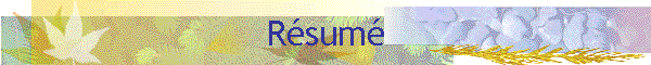 Rsum