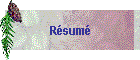 Rsum